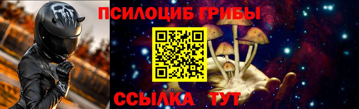 Псилоцибиновые грибы Psilocybine cubensis  Вход с VPN  хочу   Псилоцибиновые грибы мицелий  Ярославль 